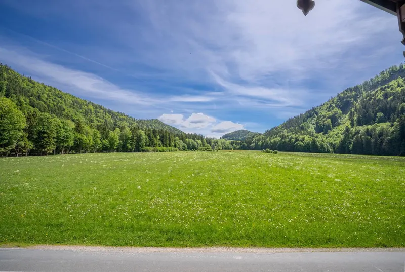 Ausblick